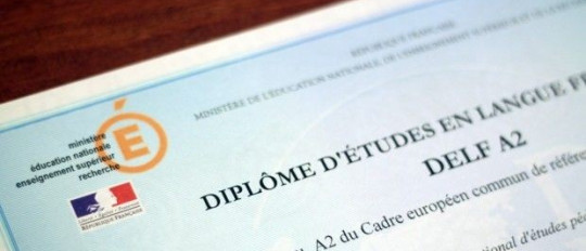 Lohnt sich das DELF-Zertifikat?